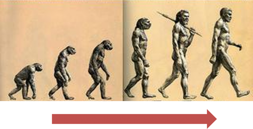 人類進化